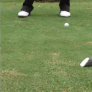 Meet your Posher, Elvyn